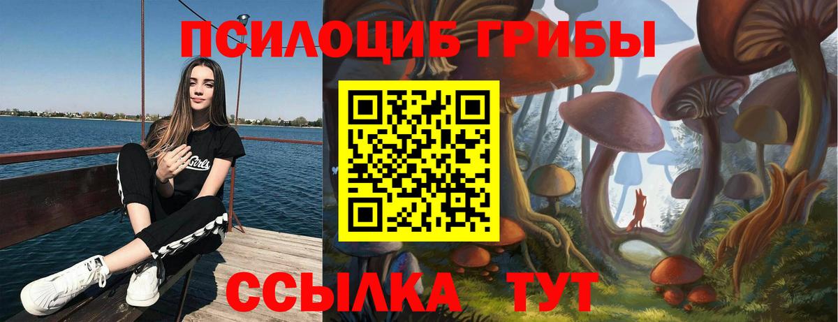 Псилоцибиновые грибы GOLDEN TEACHER Усть-Лабинск