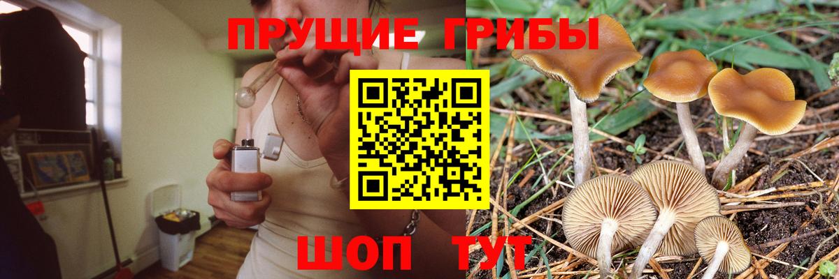 Псилоцибиновые грибы Psilocybe  Вход с VPN  Усть-Лабинск  Галлюциногенные грибы мицелий 